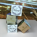 Набор для выращивания с логотипом Газпромбанк