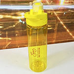 Бутылка Лев Толстой