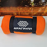 Плед флисовый с логотипом ДИАГРУПП