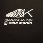 Подарочный набор с логотипом Usha Martin