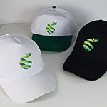 Бейсболки с логотипом ЭКО